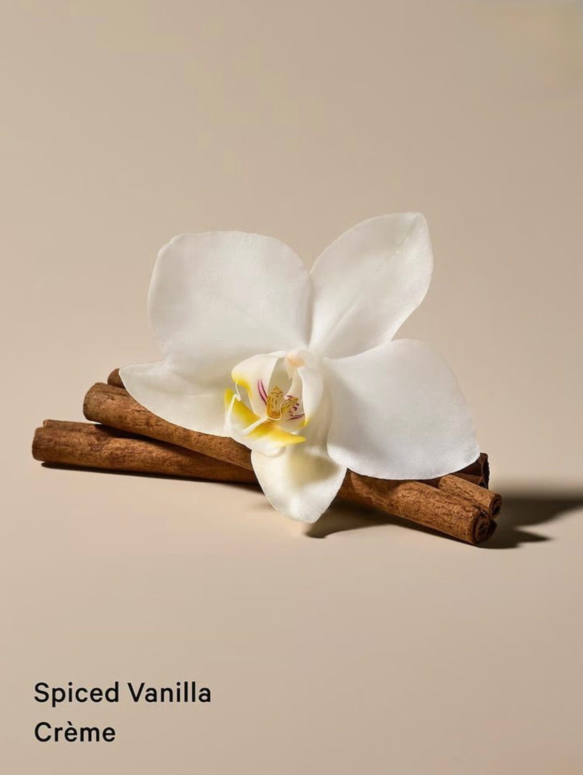 Jabón líquido para el cuerpo en crema con Spiced Vanilla Crème