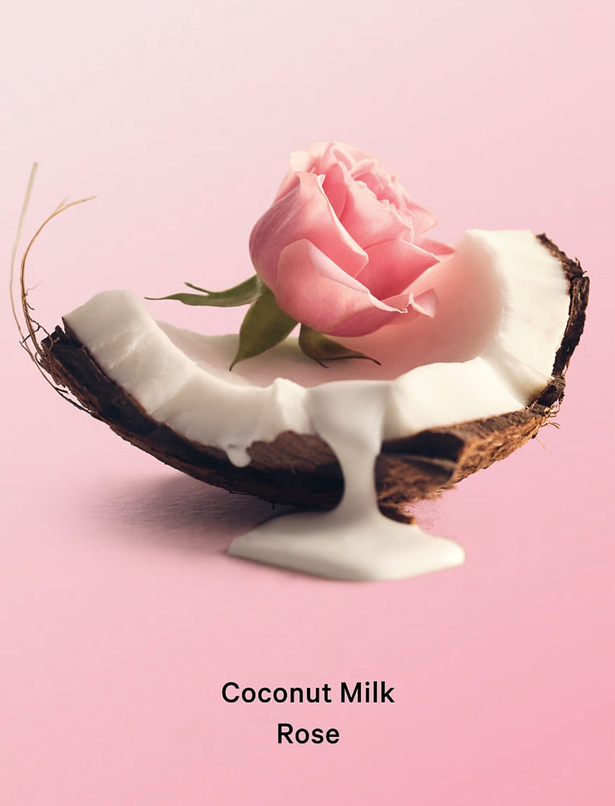 Exfoliante corporal Coconut Milk Rose