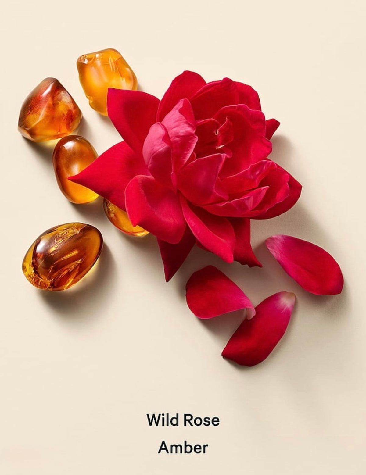 Exfoliante Corporal Wild Rose Amber