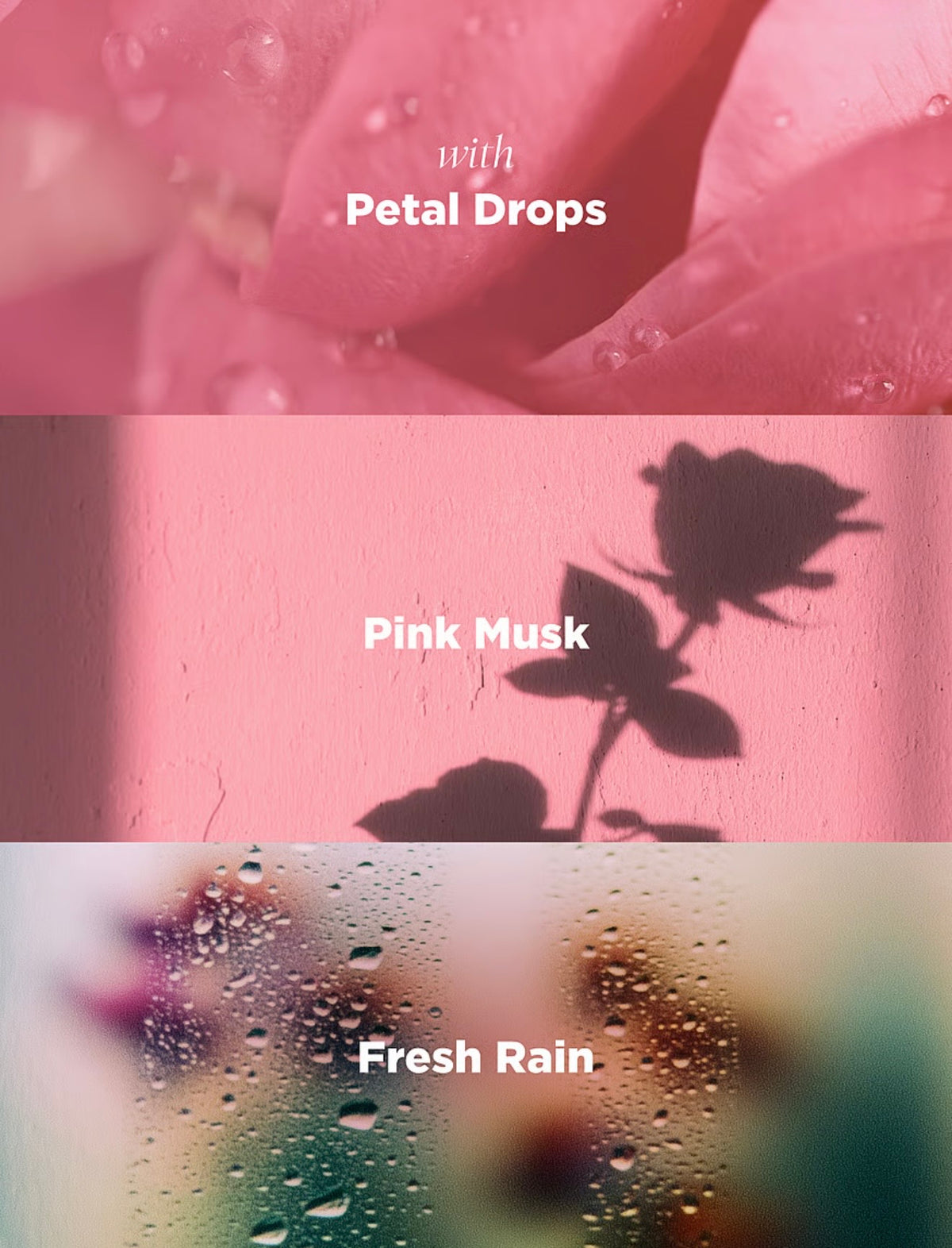 Spray ambiental aromático Rose Bohemia
